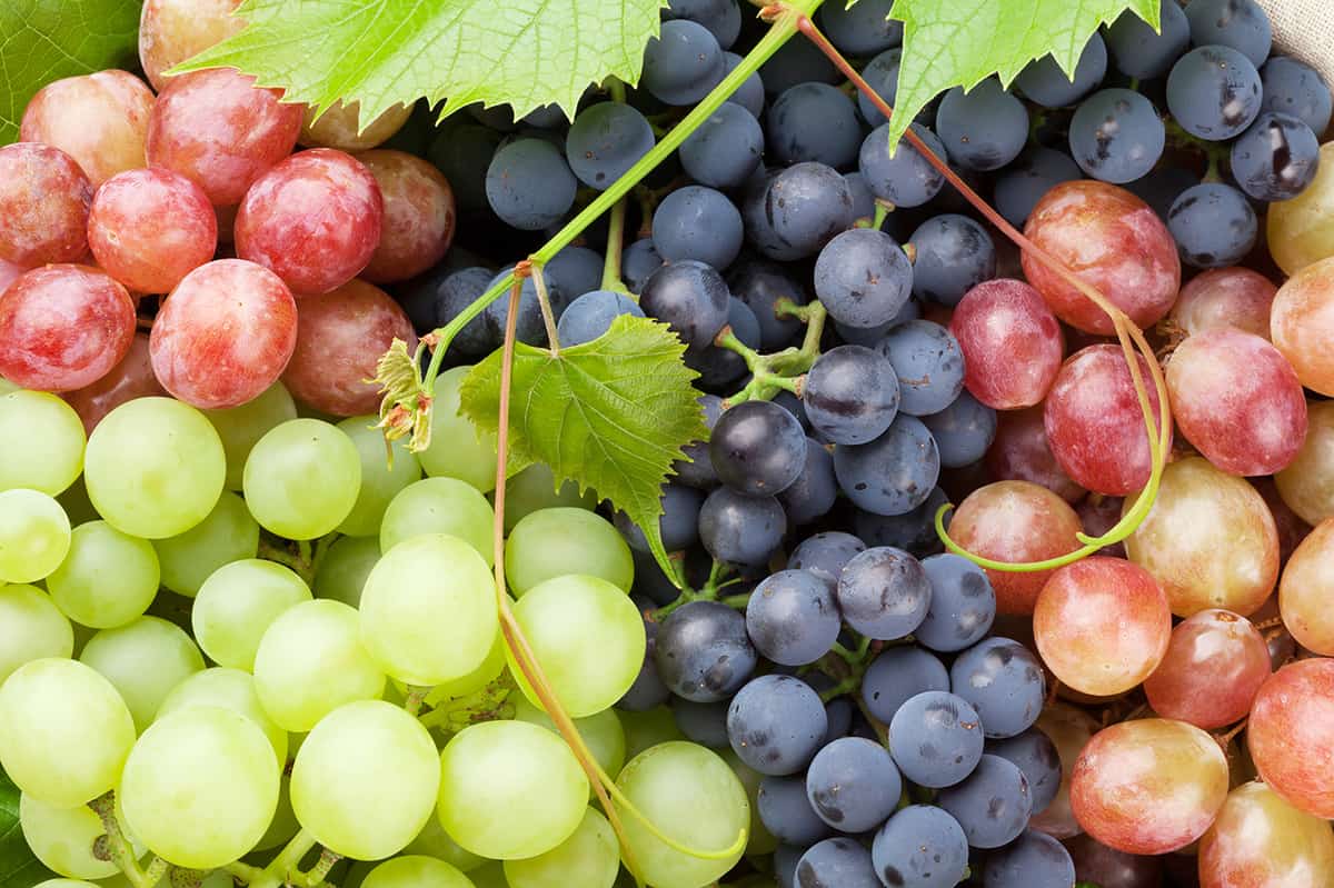 Grape